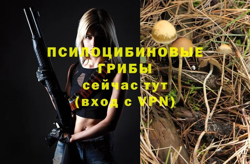 Псилоцибиновые грибы Psilocybine cubensis  купить наркотики сайты  blacksprut как зайти  Ленск 